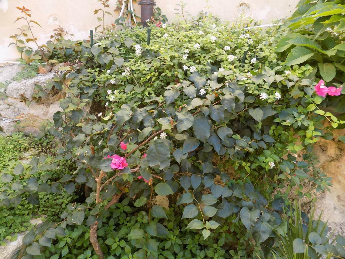 Garden&House Amore Vero Modica Buitenkant foto